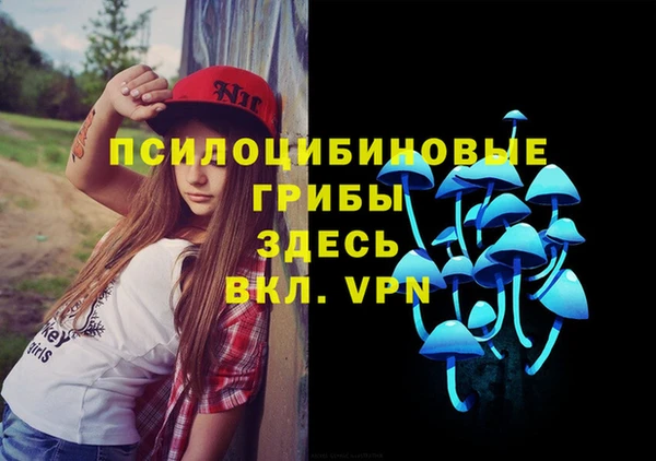 тгк Гусь-Хрустальный