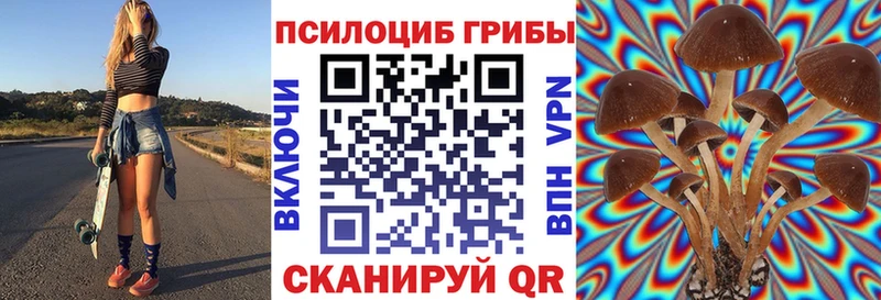 Галлюциногенные грибы Magic Shrooms Заполярный