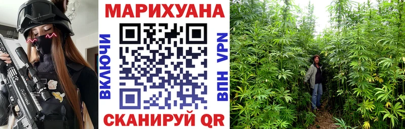 Шишки марихуана семена закладки Заполярный